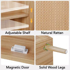 Credenza Marrone Naturale a 2 Ante in Rattan con Ripiano Regolabile, 1 Pezzo
